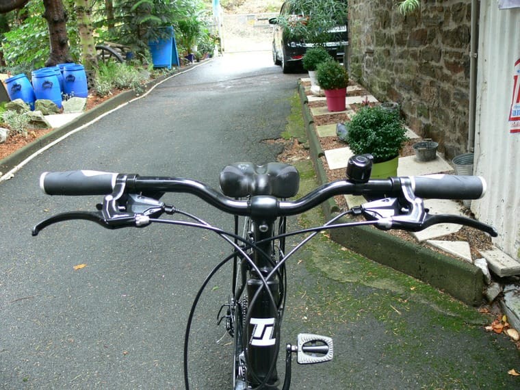 Damen Fahrrad von TRIUMPH , 21 Gang von SHIMANO / Nr .104